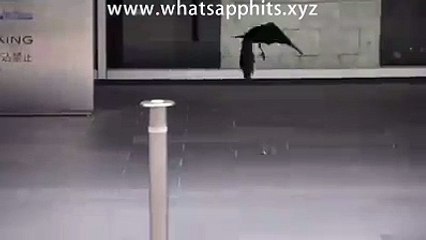 Brave mouse ! Go mouseee go go goo