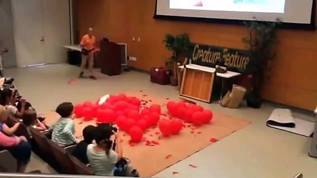 Balloon popping dog