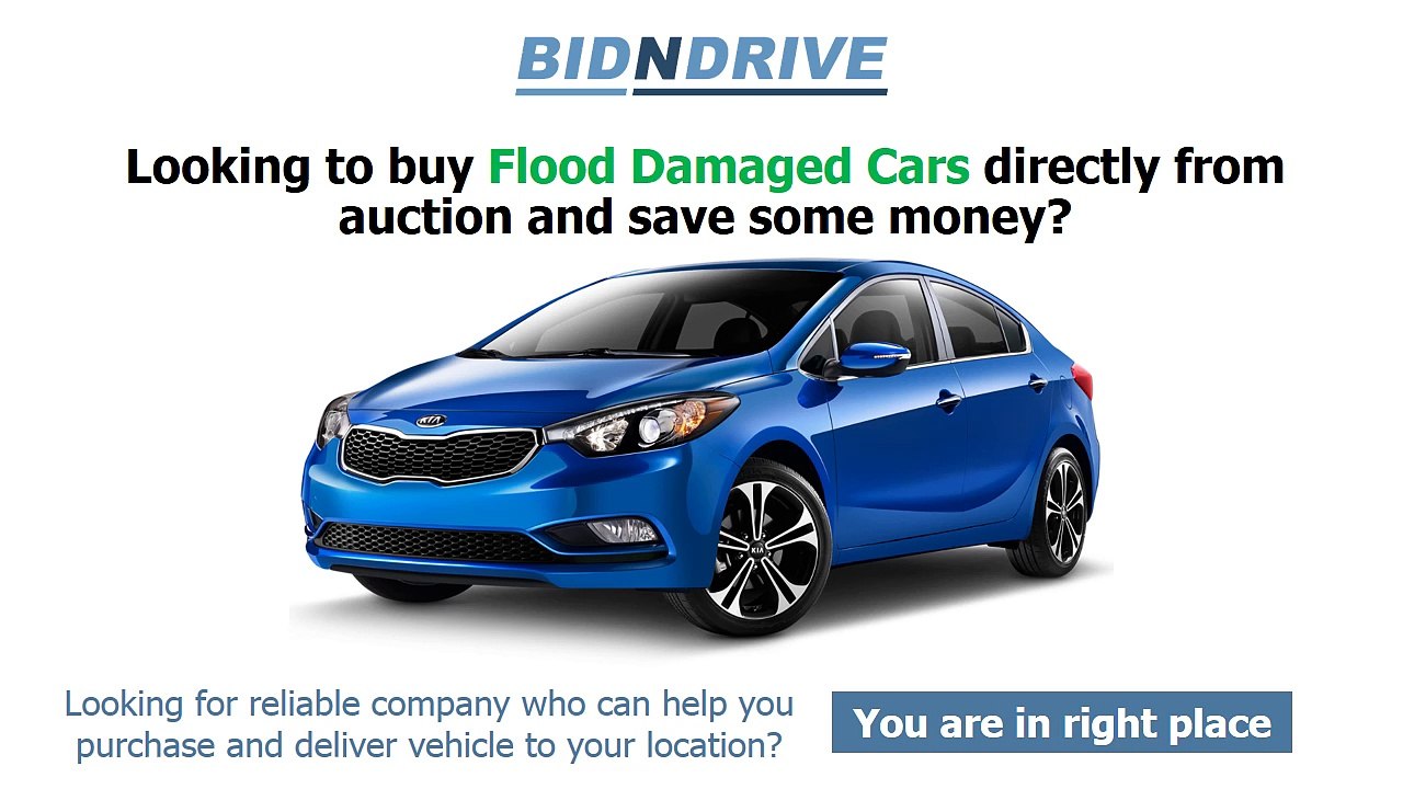 BidnDrive Flood Damaged