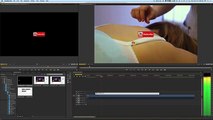 Easy Animator Pro - Adobe Premier Training