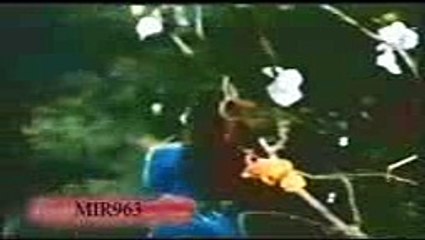 NOOR JAHAN - AKHAN DI ZUBANI - KHAN CHACHA - YouTube_mpeg4