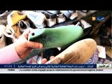 جزائريون  : عمي محمد يروي حكاية 60 سنة مع صناعة الأحذية