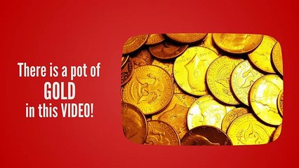 How To Use VideoMakerFX