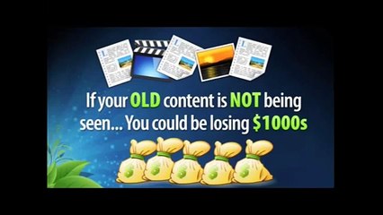 PingFresh Special Deal - Increase Traffic and Revenue Stream