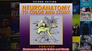 Download PDF  Neuroanatomy to Color and Study FULL FREE