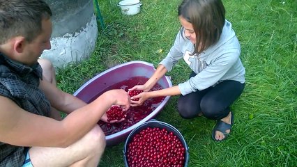 Вишневый компот на зиму. Cherry compote