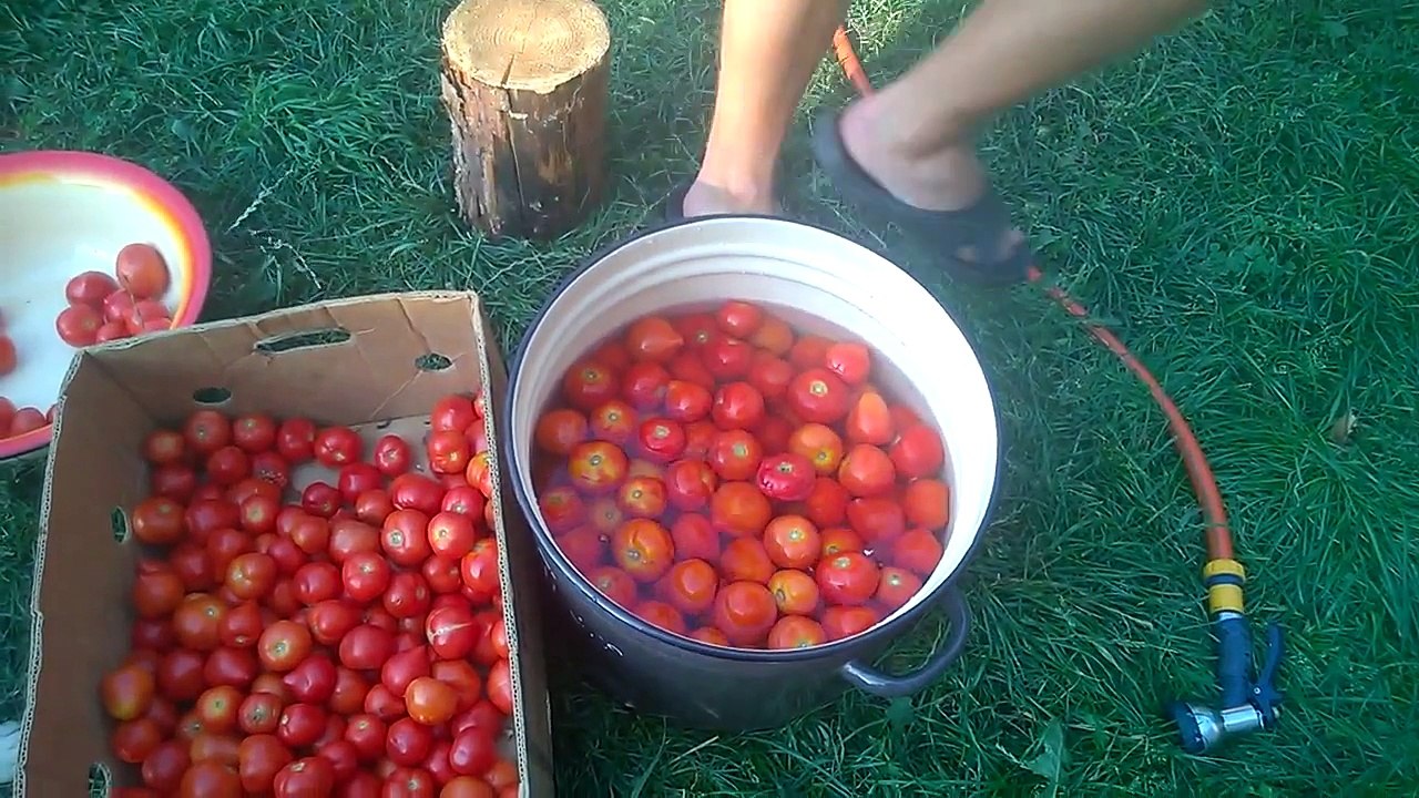 Маринованные помидоры на зиму