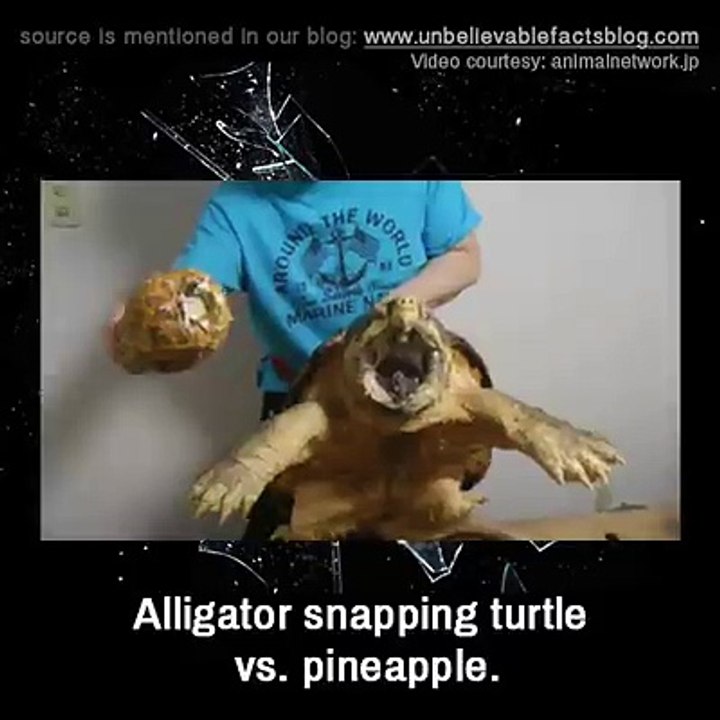 What is this