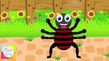 Incy Wincy Spider (Itsy Bitsy Spider) Nursery Rhyme  Kids Animation Rhymes Songs