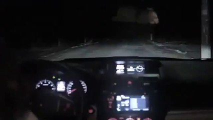 Bu Devirde Çarptığın Köpeğe Bile Güvenmeyeceksin