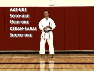 Sports fan club - sports vido