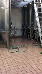 Silvia B.'s New Periscope's Just Out (October 6, 2015, 5:05 pm)