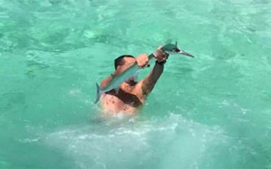 Yüzeye Yakın Yüzen Balığı Dalarak Yakaladı