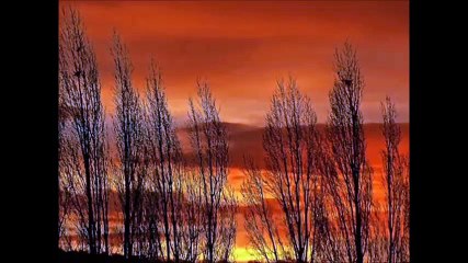 عَـابِرُ سَبِيل