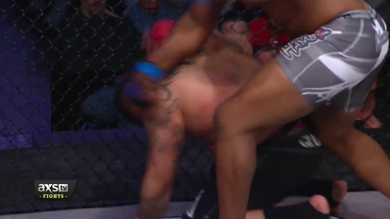 RFA 35 Highlights