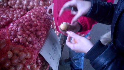 Как выбрать лук для посадки на перо