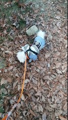 수원출장안마⋜O1Ø↔6821↔6058⋜수원출장⋜=출장안마여대생⋜천호출장마사지Ṽ