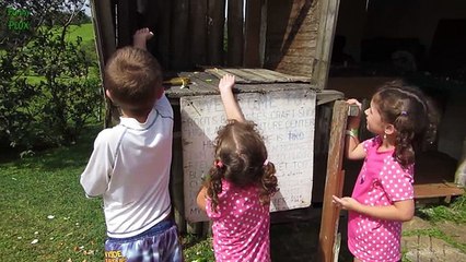 Top 10 Most Funny Monkey Videos 2015