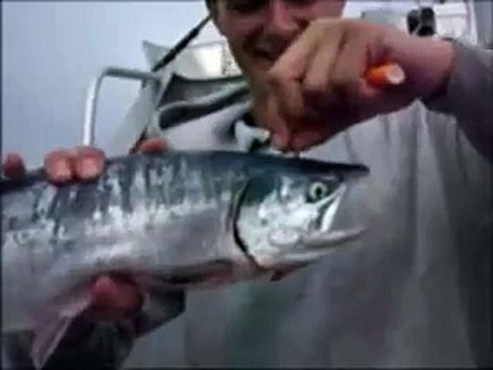 Smoking Weed through a Salmon