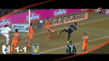 Queretaro vs Tigres 2-2 GOLES RESUMEN Jornada 7 Clausura 2016 Liga MX