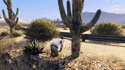 GTA 5 Plane BIG Crash Funny Moments