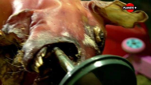 L'art de la décomposition