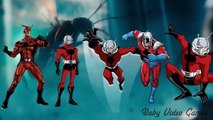 Finger Family Ant Man Super Hero Rhymes Daddy Finger Song
