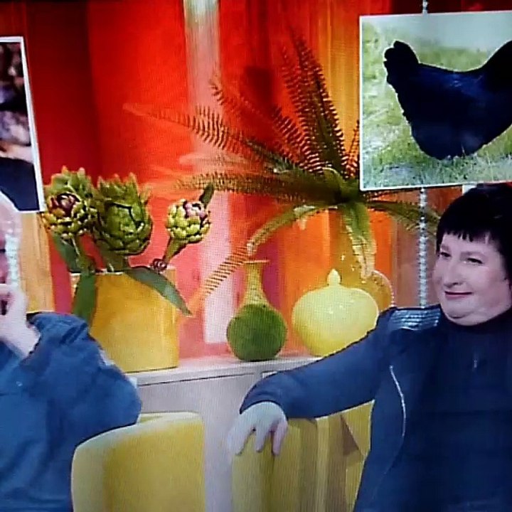 VID_28701207_143452.mp4