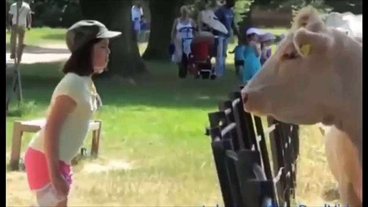 Animal Attacks Compilation 2015 HD ll PART 2