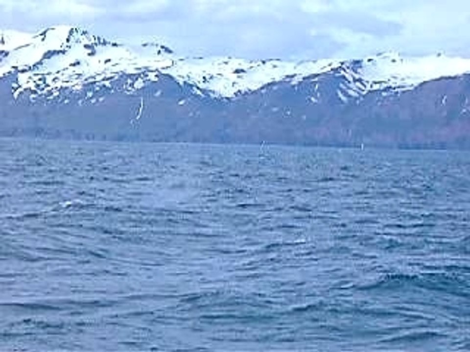 baleine husavik