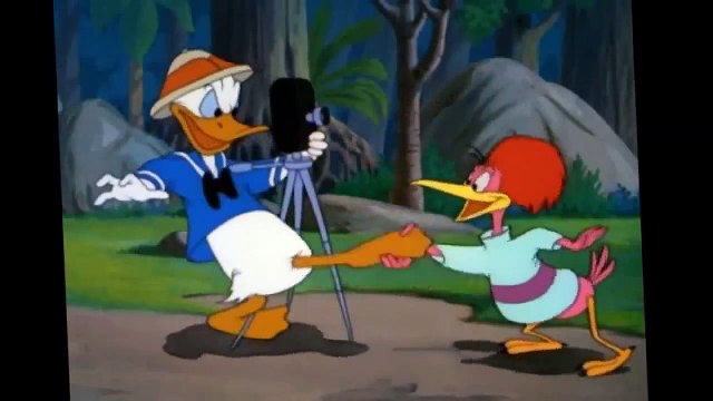 DONALD canard !!! Tic an Tac dessin animéS amusant épisodeS 2015 ! COMPILATION amusant [HD]