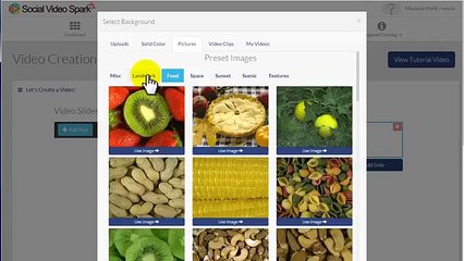 Social Video Spark Review From Maulana Malik