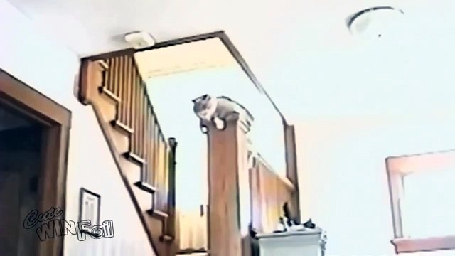 Она накрыла собачку одеялом, а когда убрала его — я не смогла удержаться от смех