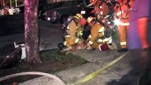 Dog rescued from House on Fire by LA Firefighters.