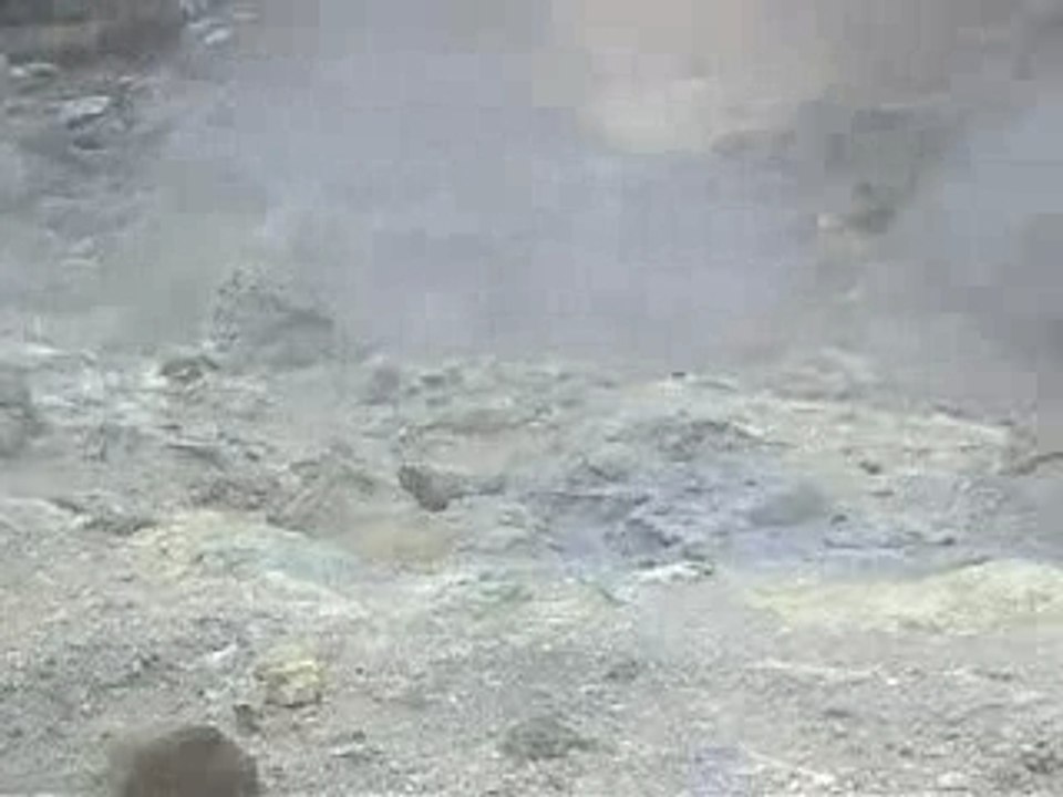 viti