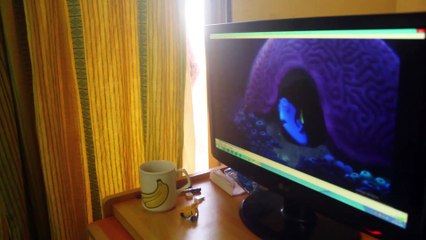 Finding Dory Trailer Reaction Review