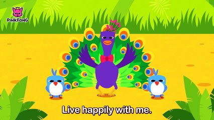 Will You Marry Me  Animal Songs  PINKFONG Songs for Children