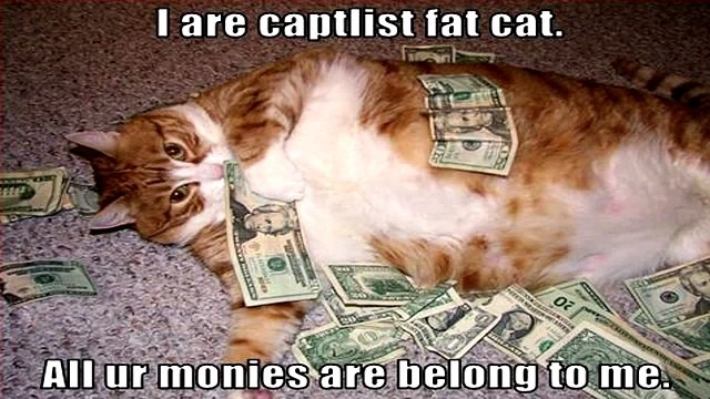 Котэ приколз. 68, Прикольные, ржачные,веселые коты,кошки ,котята