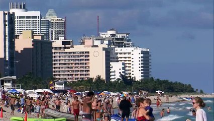 Video Motion Rolodex Beach In Miami for Landing Page Monkey