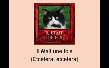 Le Chat Angora, Matt Maxwell