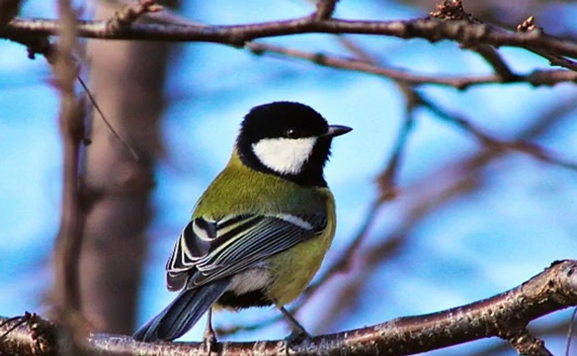 해외토토양방 ひ♛「〃GT-77WAY.COM〃」♛ひ 카톡문의:Acac365