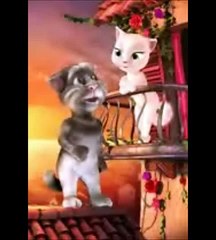 Tom Cat Funny Videos in Urdu Punjabi
