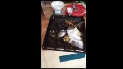 Kısmetse Olur Kamera Arkası ŞOK ETTİ!