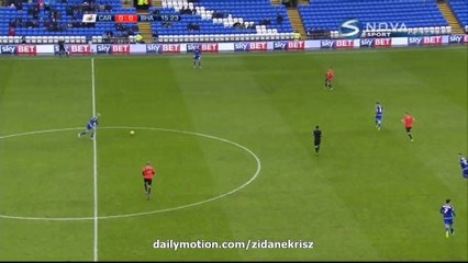 1-0 Peter Whittingham Goal HD - Cardiff City v. Brighton & Hove Albion FC 20.02.2016 HD