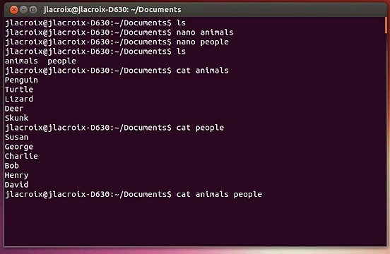 Linux Commands for Beginners- 09 - The cat Command
