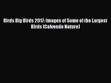 Read Birds Big Birds 2017: Images of Some of the Largest Birds (Calvendo Nature) PDF Online