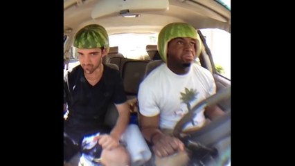 Best Watermelon Vines Compilation