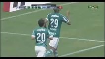 Palmeiras 1x2 Linense - Paulistão 13/12/2016 HD. (FULL HD)