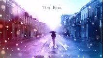 SST Tere Bina (Yeshu) _ New Hindi Christian Praise and Worship Song 2016