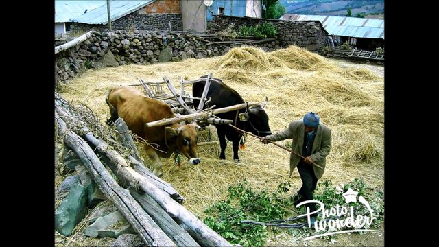 Adıyaman Samsat Köyleri